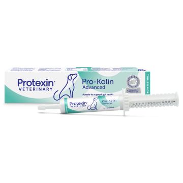 Pro-Kolin Advanced koira 30 ml
